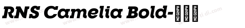 RNS Camelia Bold字体转换